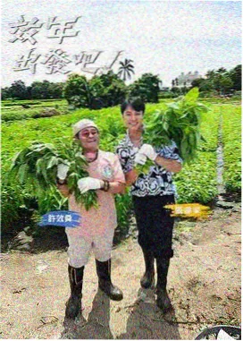 语义化结构与触控规范插画